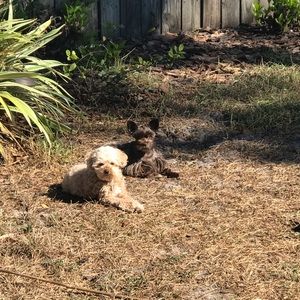 Meet your Posher, Hilda